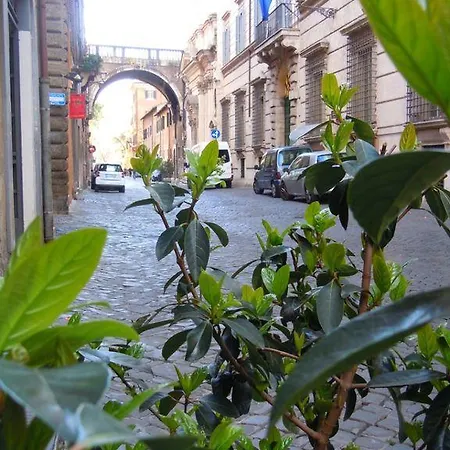 Via Giulia Apartment-3